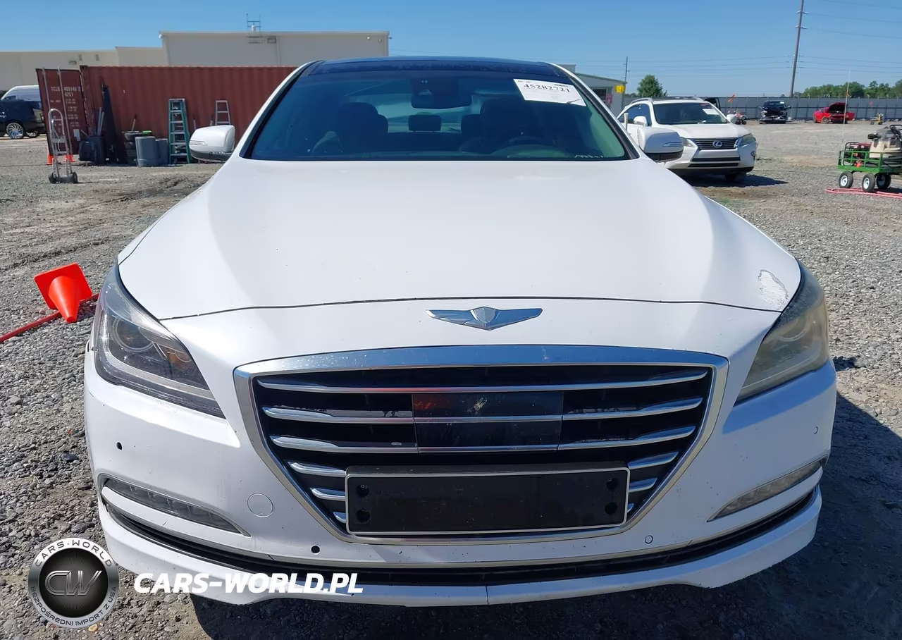 2016 Hyundai Genesis 3.8 VIN:KMHGN4JE1GU107316 - 12