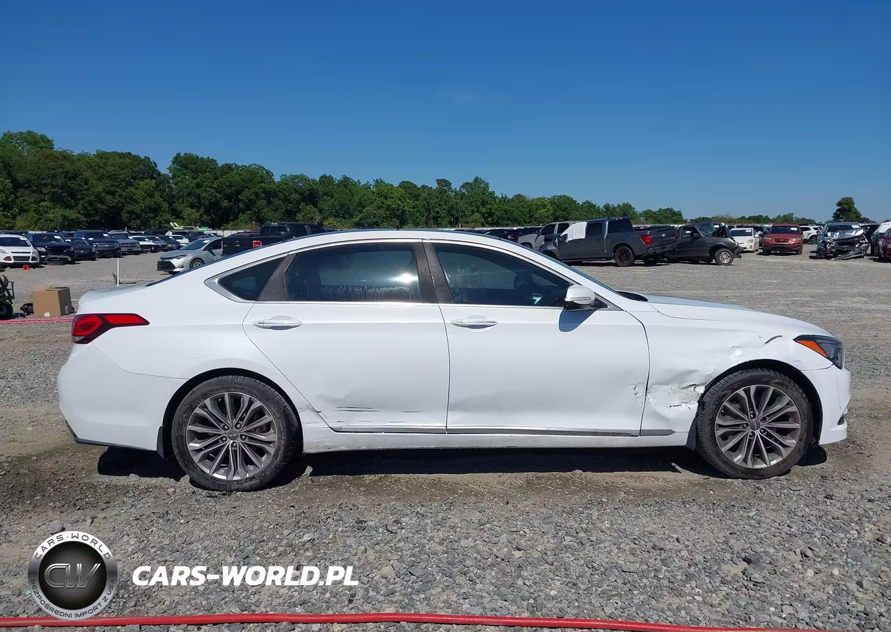 2016 Hyundai Genesis 3.8 VIN:KMHGN4JE1GU107316 - 13
