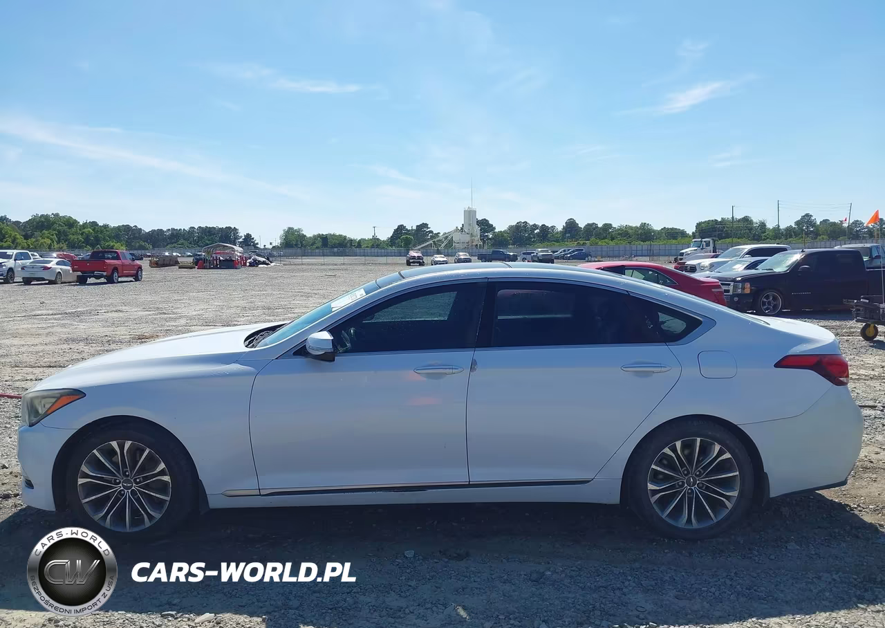 2016 Hyundai Genesis 3.8 VIN:KMHGN4JE1GU107316 - 14