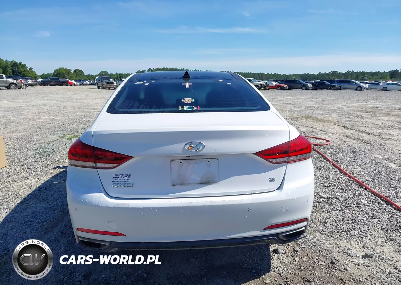 2016 Hyundai Genesis 3.8 VIN:KMHGN4JE1GU107316 - 16
