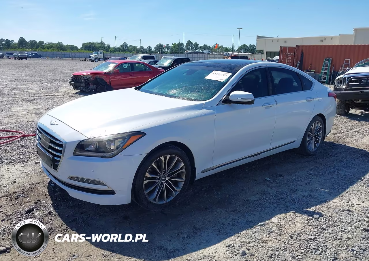2016 Hyundai Genesis 3.8 VIN:KMHGN4JE1GU107316 - 2