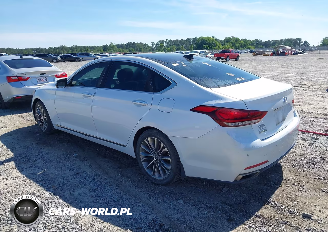2016 Hyundai Genesis 3.8 VIN:KMHGN4JE1GU107316 - 3