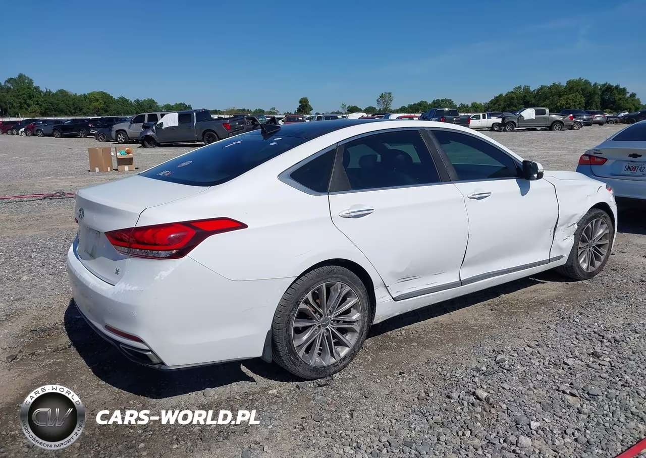 2016 Hyundai Genesis 3.8 VIN:KMHGN4JE1GU107316 - 4
