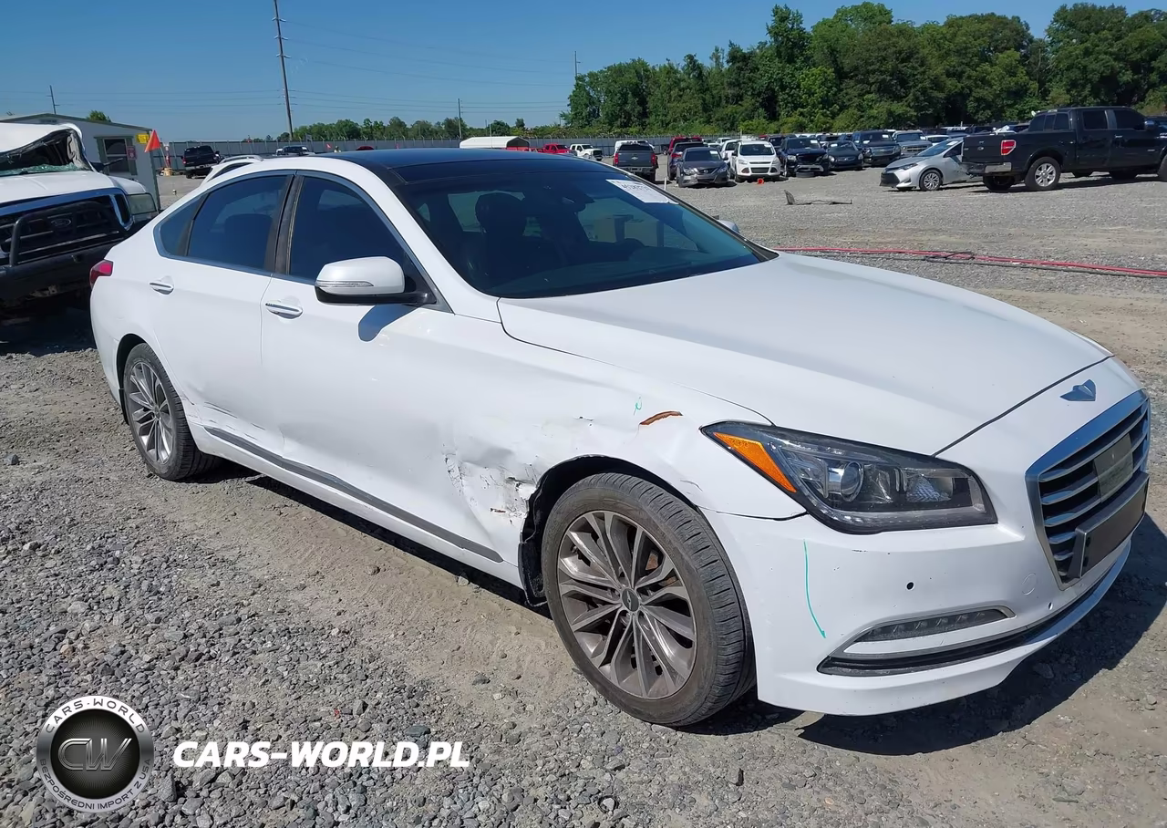 2016 Hyundai Genesis 3.8 VIN:KMHGN4JE1GU107316 - 6