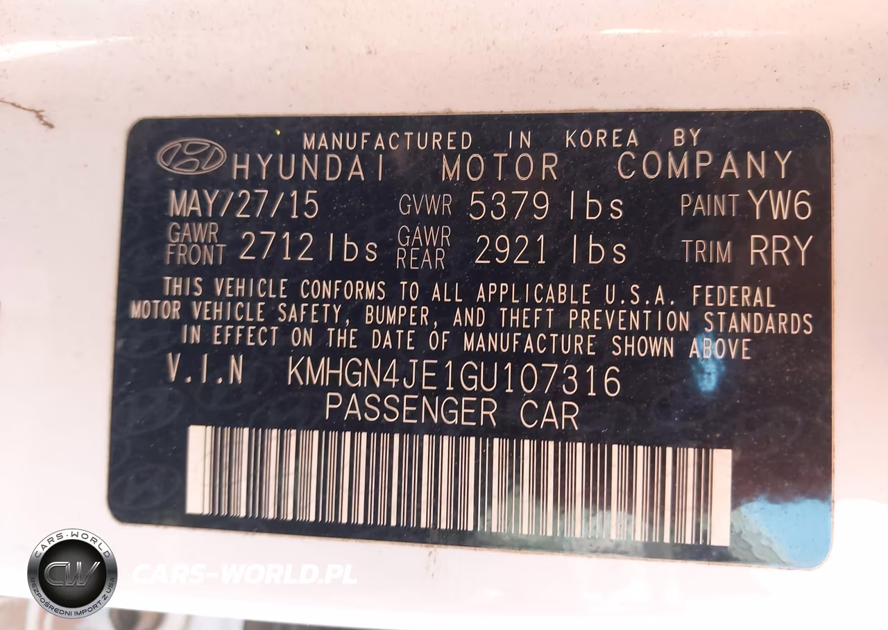 2016 Hyundai Genesis 3.8 VIN:KMHGN4JE1GU107316 - 9