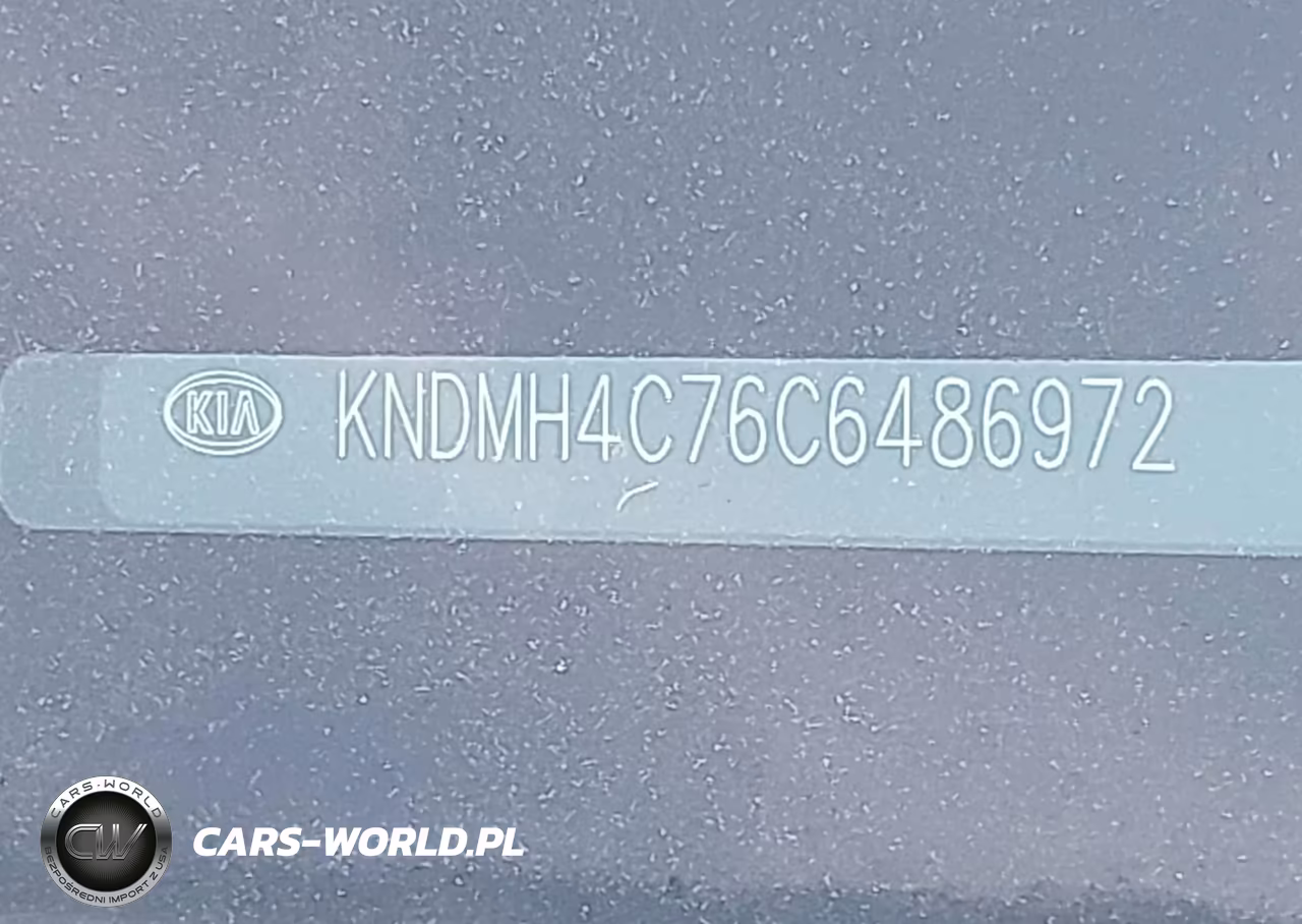2012 Kia Sedona Ex VIN:KNDMH4C76C6486972 - 9