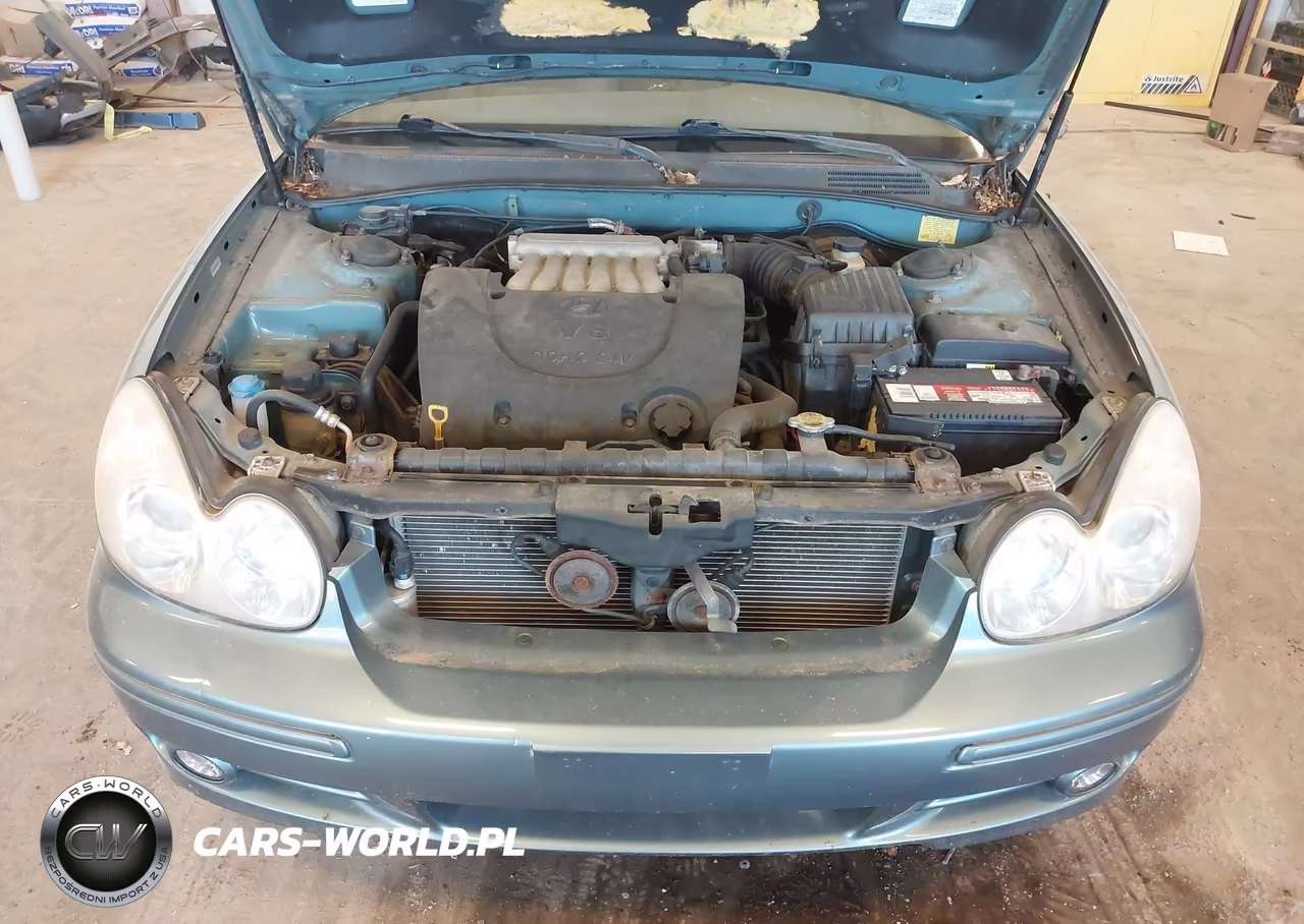 2004 Hyundai Sonata VIN:KMHWF25H94A006572 - 10