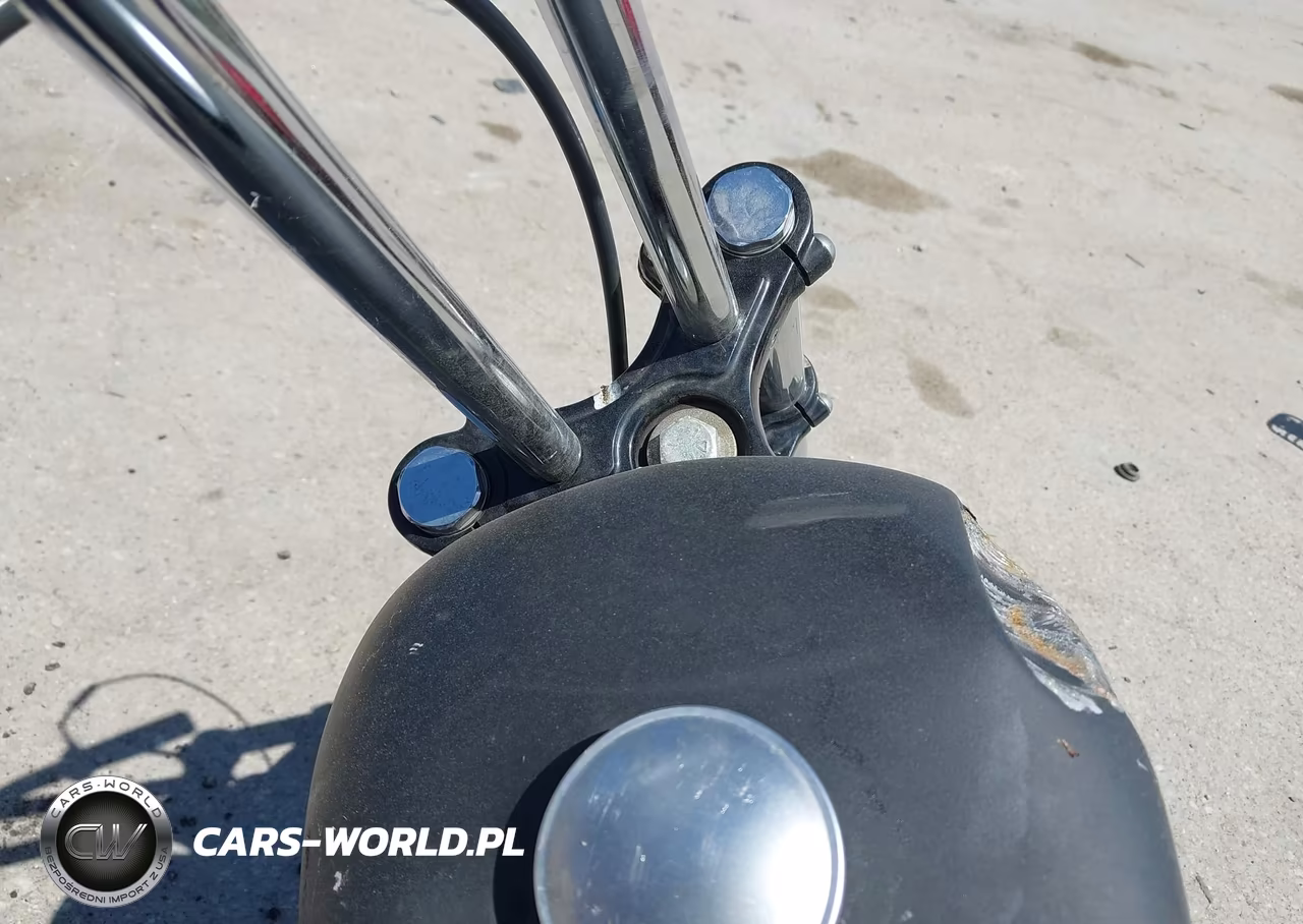 2008 Harley-Davidson Xl1200 N VIN:1HD1CZ3108K436110 - 7