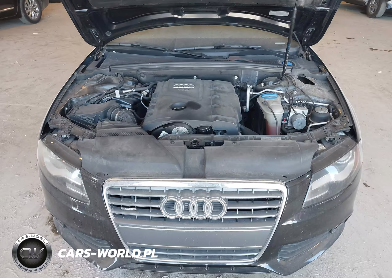 2010 Audi A4 2.0T Premium VIN:WAUFFAFL9AN037484 - 10