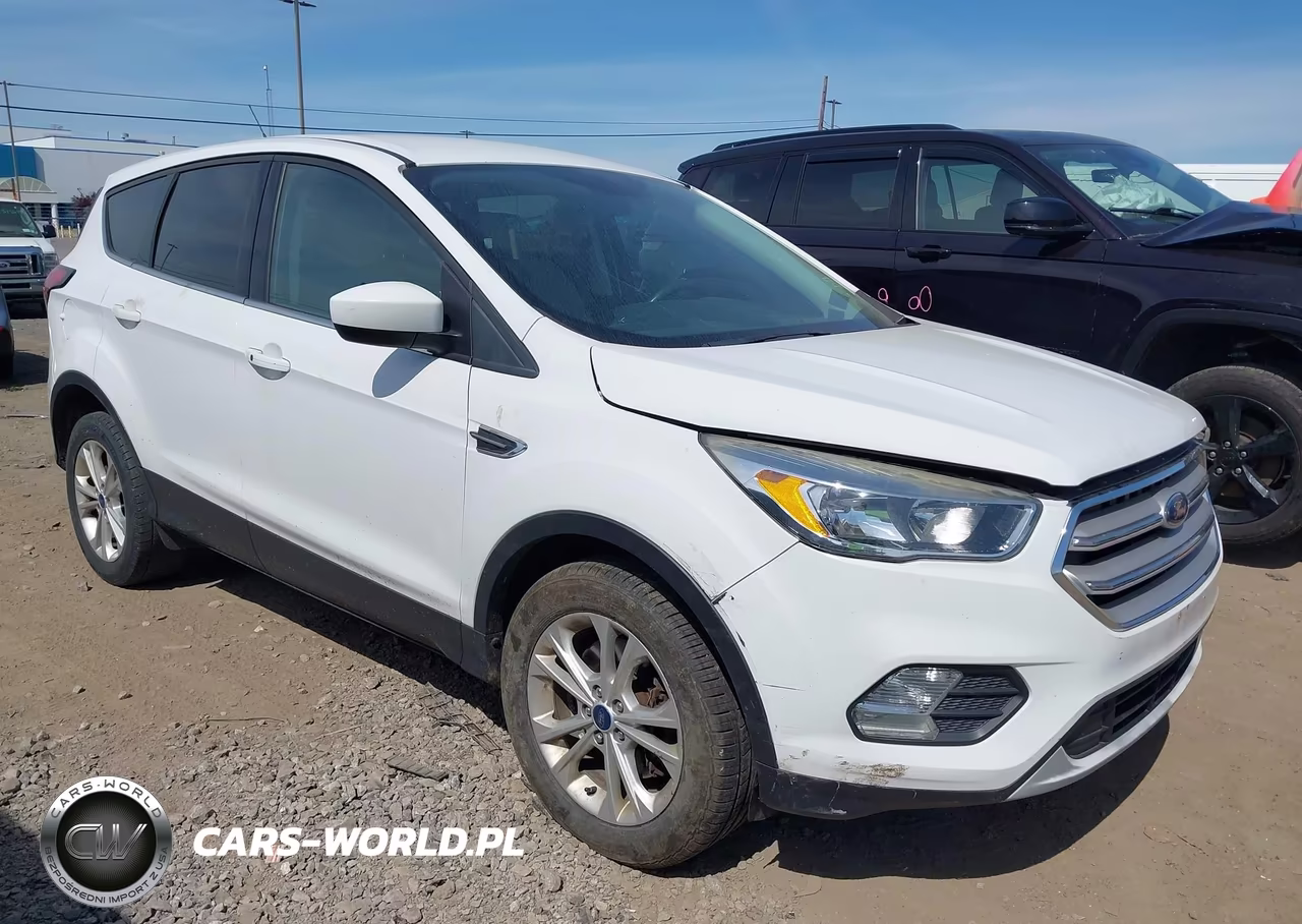 2019 Ford Escape Se