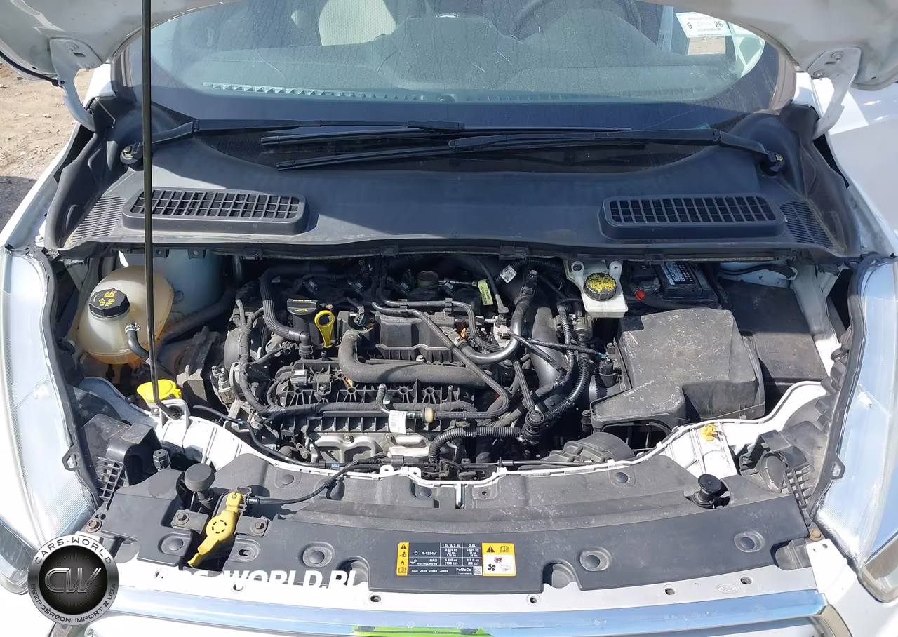 2019 Ford Escape Se VIN:1FMCU9GD7KUB97898 - 10