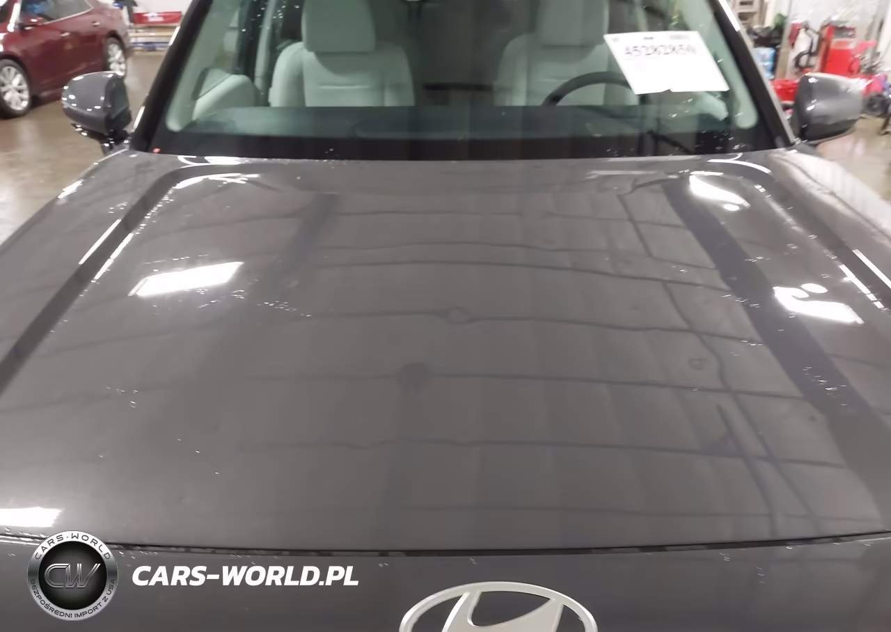 2026 Hyundai Palisade Calligraphy VIN:KM8RMES2XTU025164 - 6