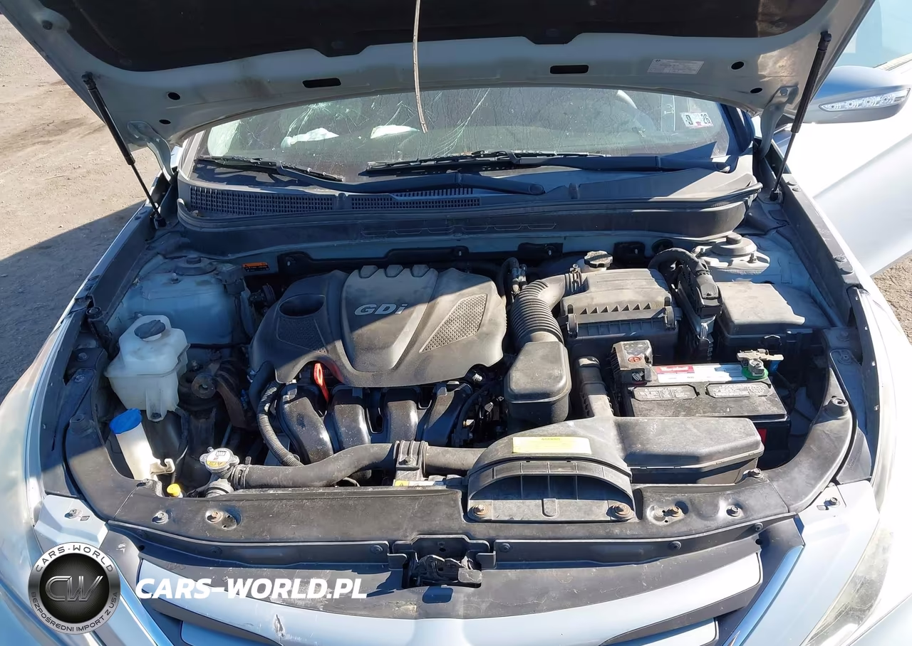 2014 Hyundai Sonata Gls VIN:5NPEB4AC6EH850449 - 10
