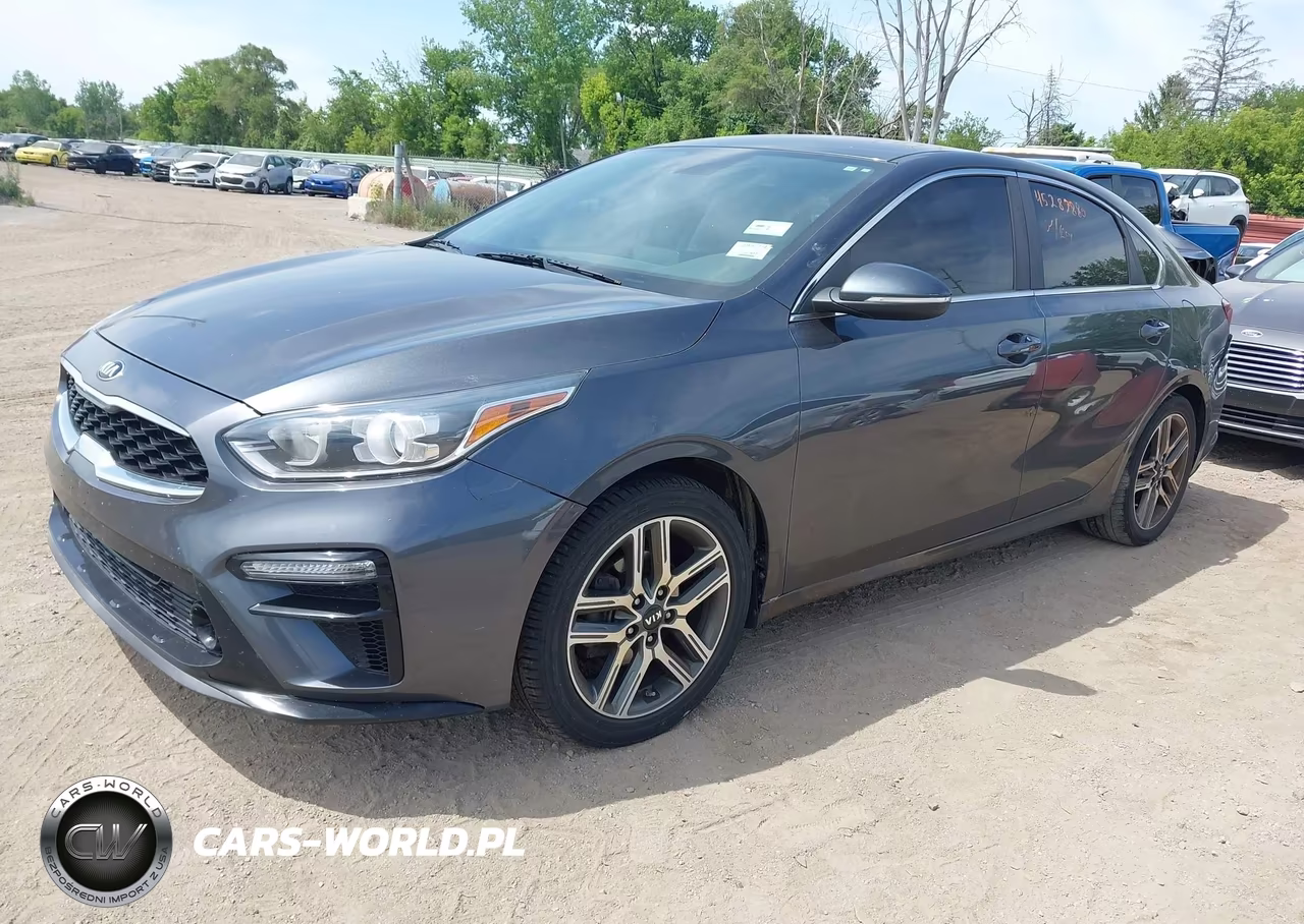 2019 Kia Forte Ex VIN:3KPF54AD7KE056273 - 2