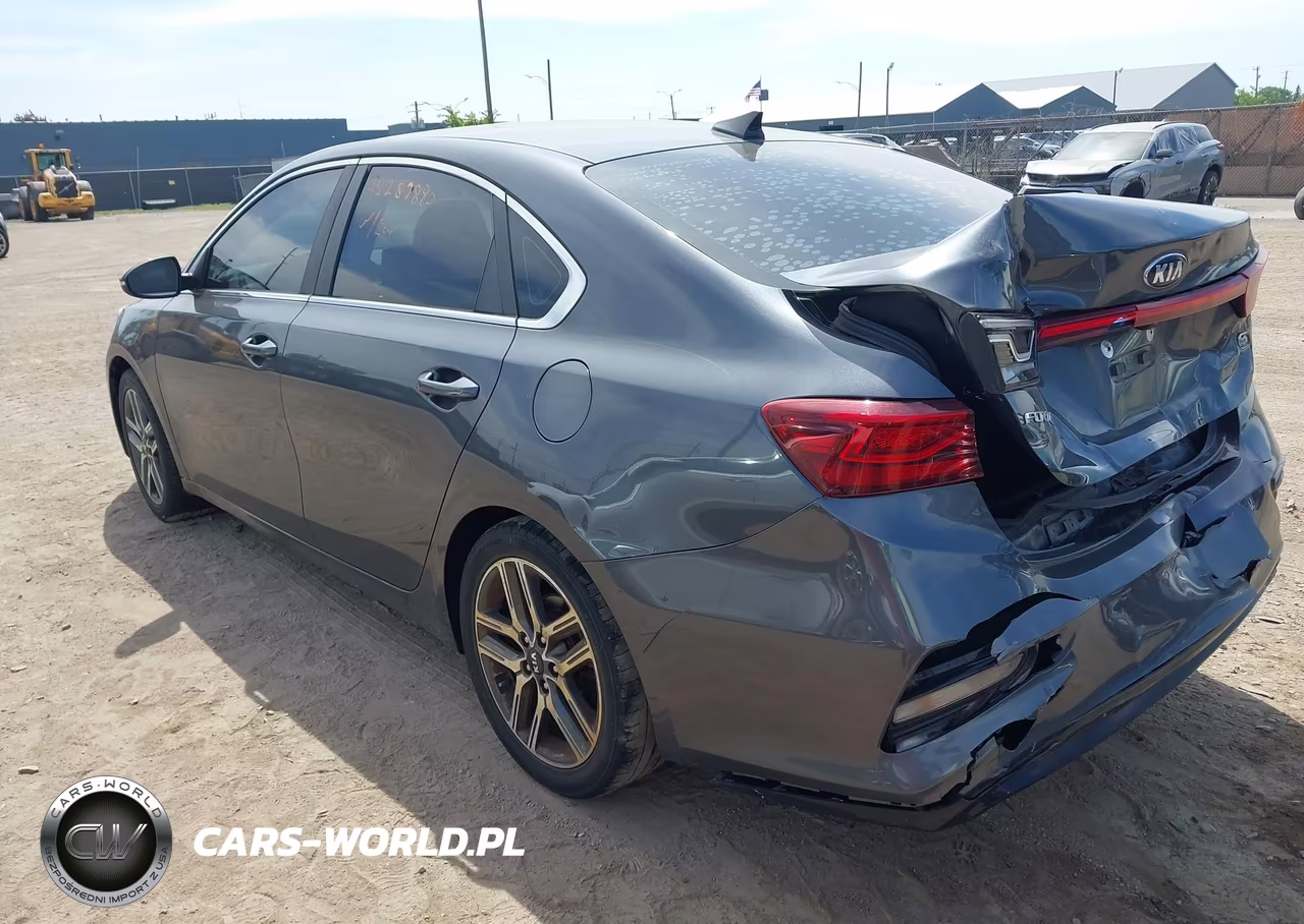 2019 Kia Forte Ex VIN:3KPF54AD7KE056273 - 3