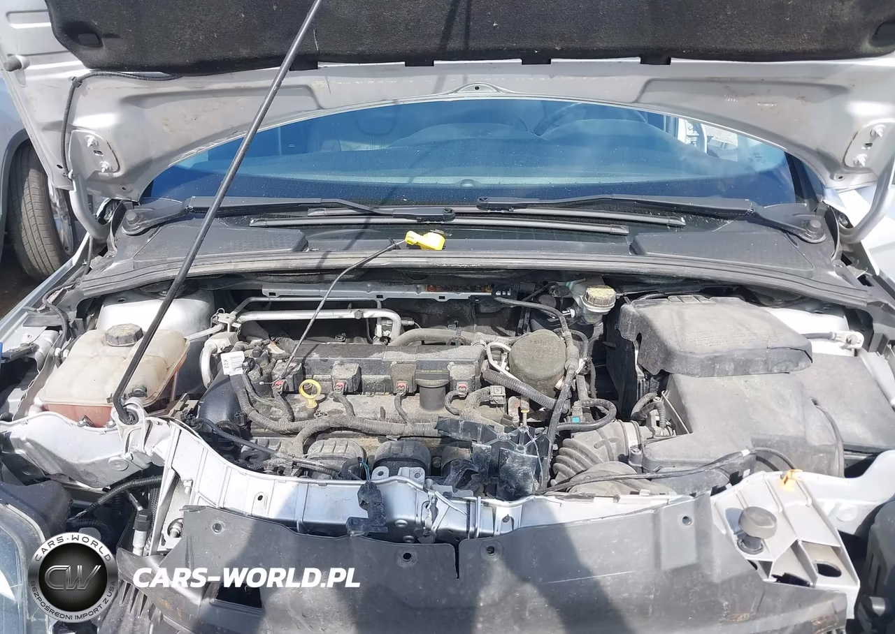 2014 Ford Focus Titanium VIN:1FADP3N22EL147649 - 10
