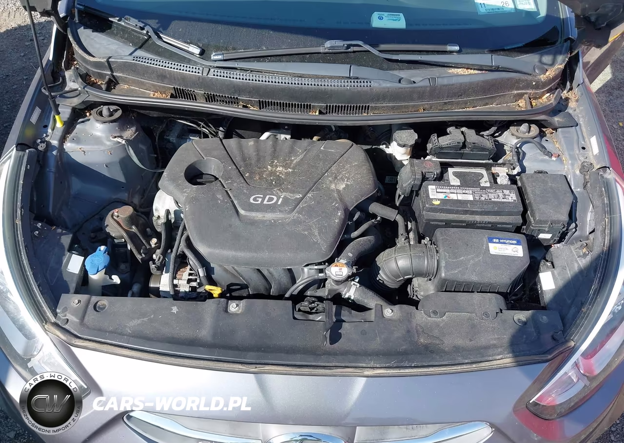 2016 Hyundai Accent Se VIN:KMHCT4AE7GU150479 - 10