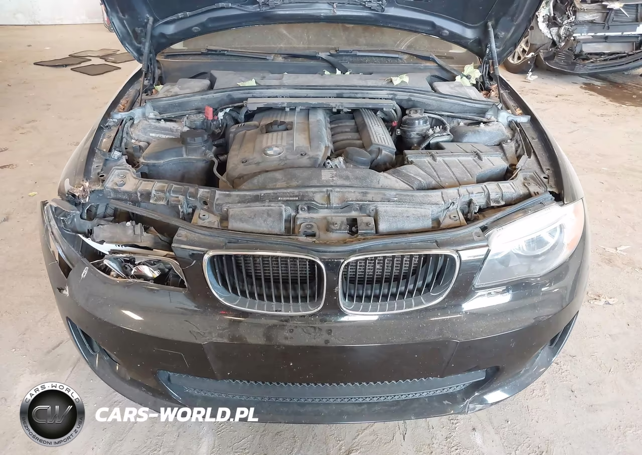 2012 BMW 128I VIN:WBAUP7C56CVP22736 - 10