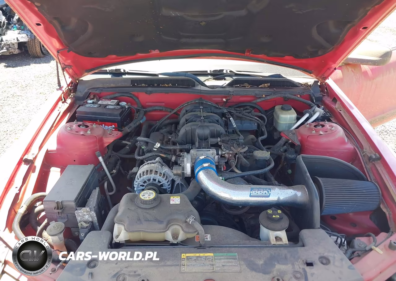 2006 Ford Mustang V6 VIN:1ZVFT80N465160452 - 10