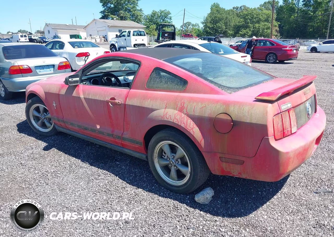2006 Ford Mustang V6 VIN:1ZVFT80N465160452 - 3