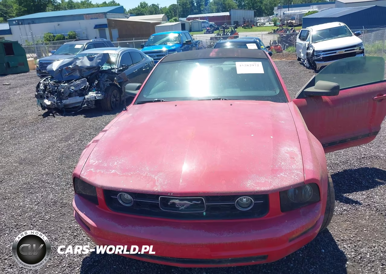 2006 Ford Mustang V6 VIN:1ZVFT80N465160452 - 6
