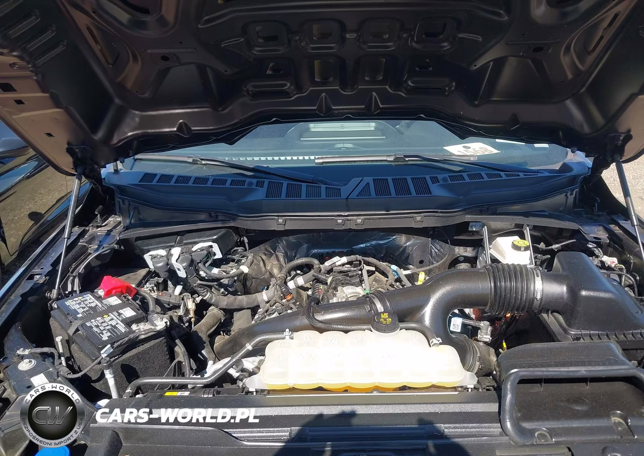 2025 Ford F-150 Stx VIN:1FTEW2LPXSFA88418 - 10