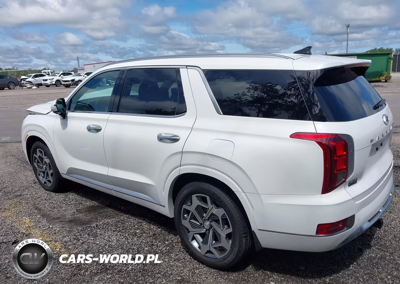 2022 Hyundai Palisade Calligraphy VIN:KM8R74HE1NU471032 - 3