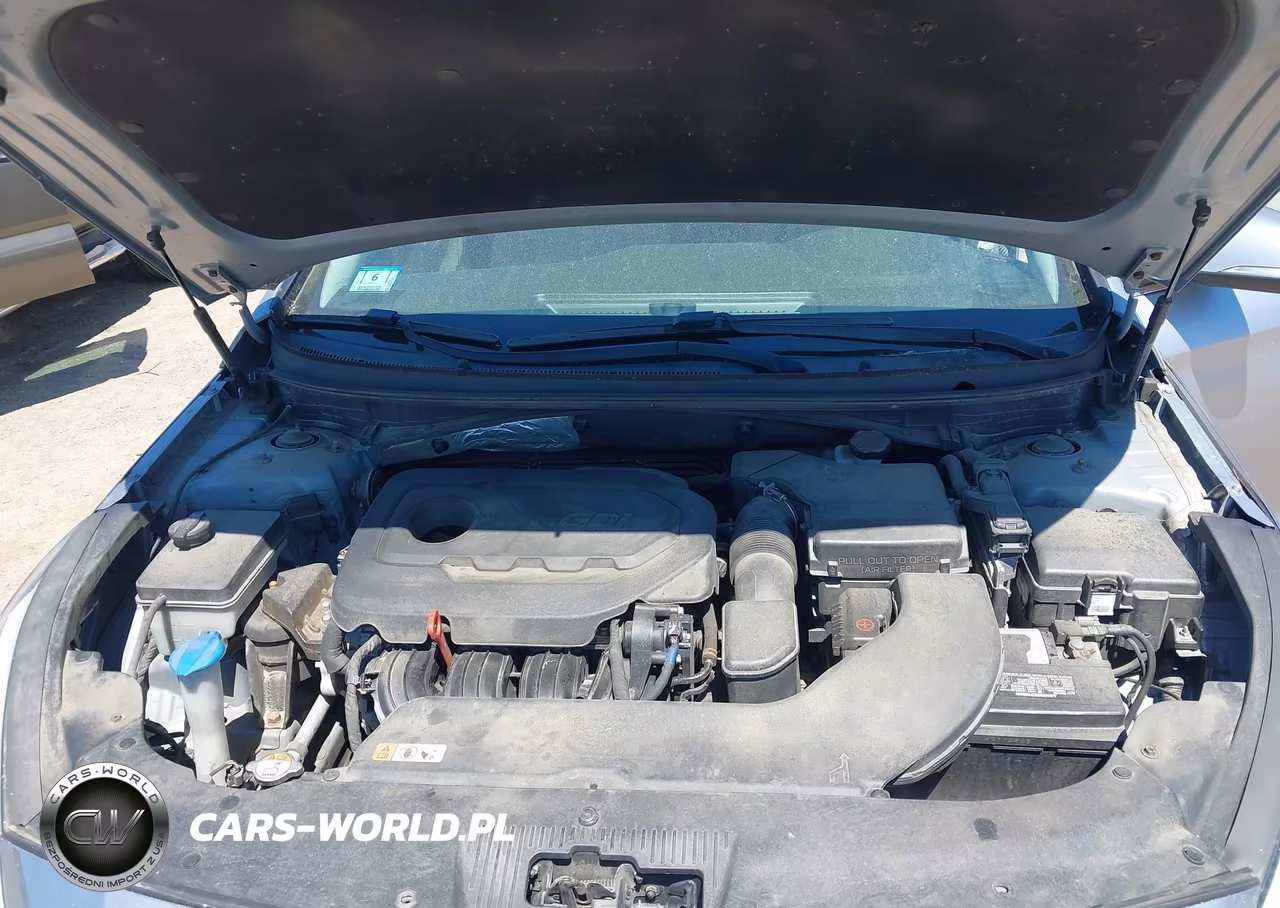 2017 Hyundai Sonata Sport VIN:5NPE34AF9HH590138 - 10