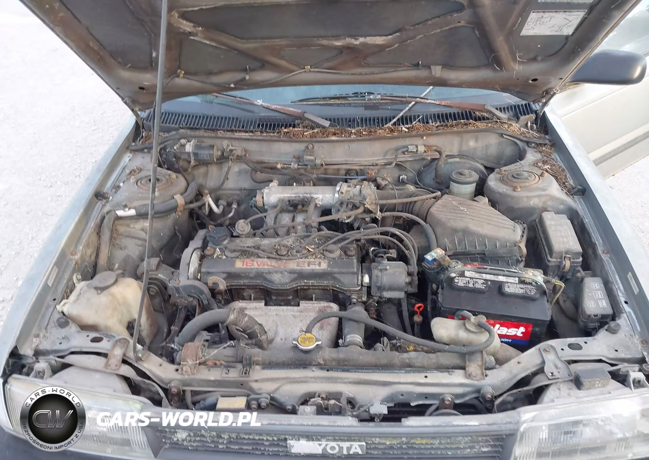 1990 Toyota Corolla Dlx VIN:1NXAE94A6LZ161555 - 10