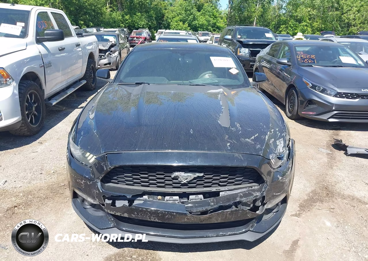 2017 Ford Mustang Ecoboost VIN:1FA6P8TH6H5205574 - 12