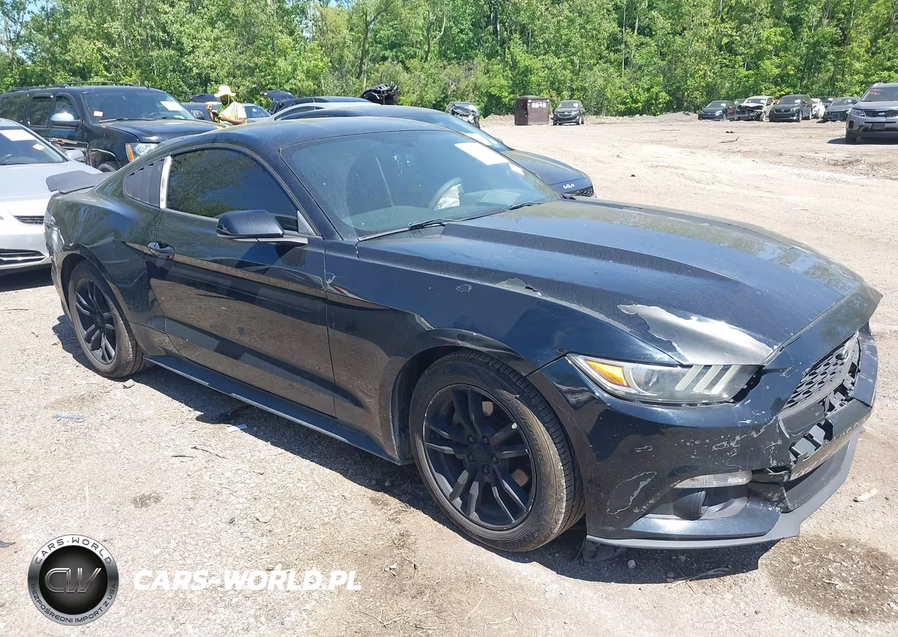 2017 Ford Mustang Ecoboost VIN:1FA6P8TH6H5205574 - 13