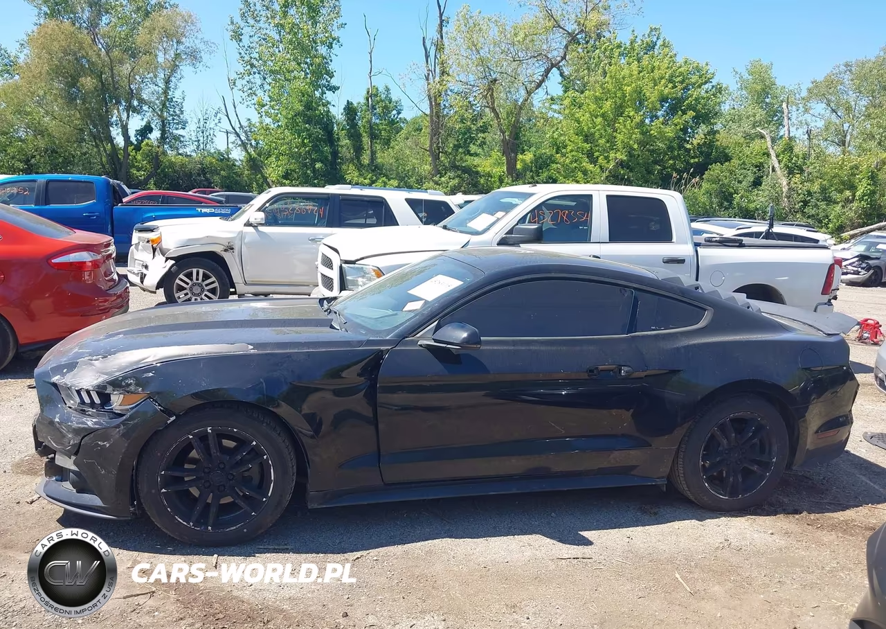 2017 Ford Mustang Ecoboost VIN:1FA6P8TH6H5205574 - 14
