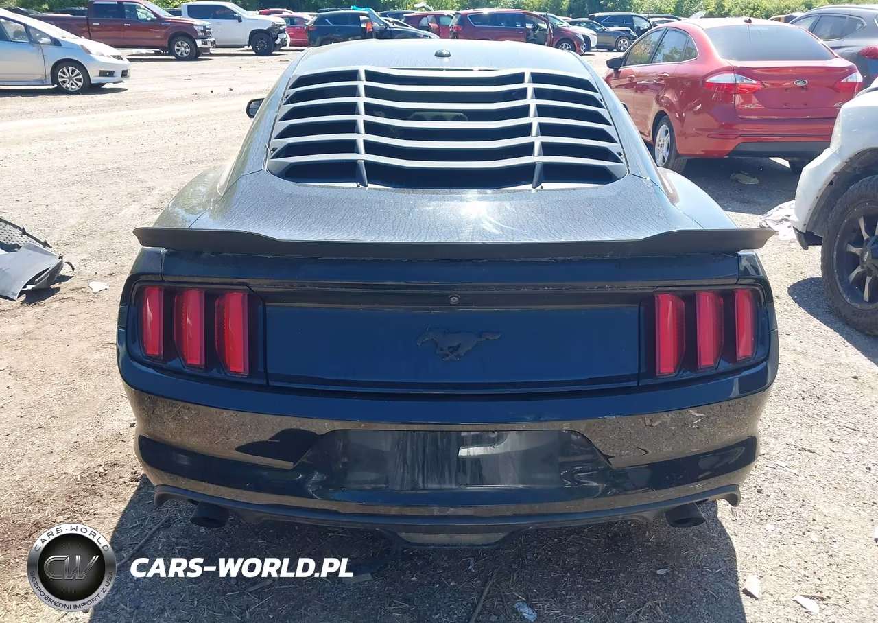 2017 Ford Mustang Ecoboost VIN:1FA6P8TH6H5205574 - 16
