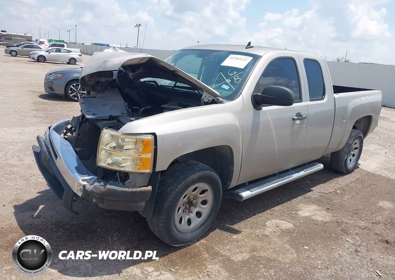 2009 Chevrolet Silverado 1500 Work Truck VIN:1GCEC19X19Z117565 - 2