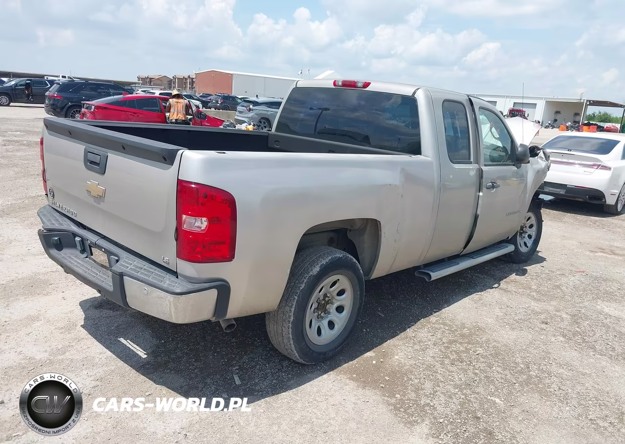 2009 Chevrolet Silverado 1500 Work Truck VIN:1GCEC19X19Z117565 - 4