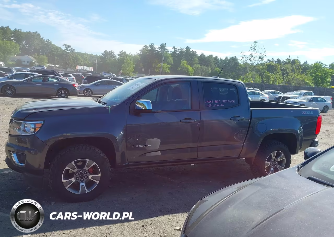 2016 Chevrolet Colorado Z71 VIN:1GCGTDE30G1304353 - 14