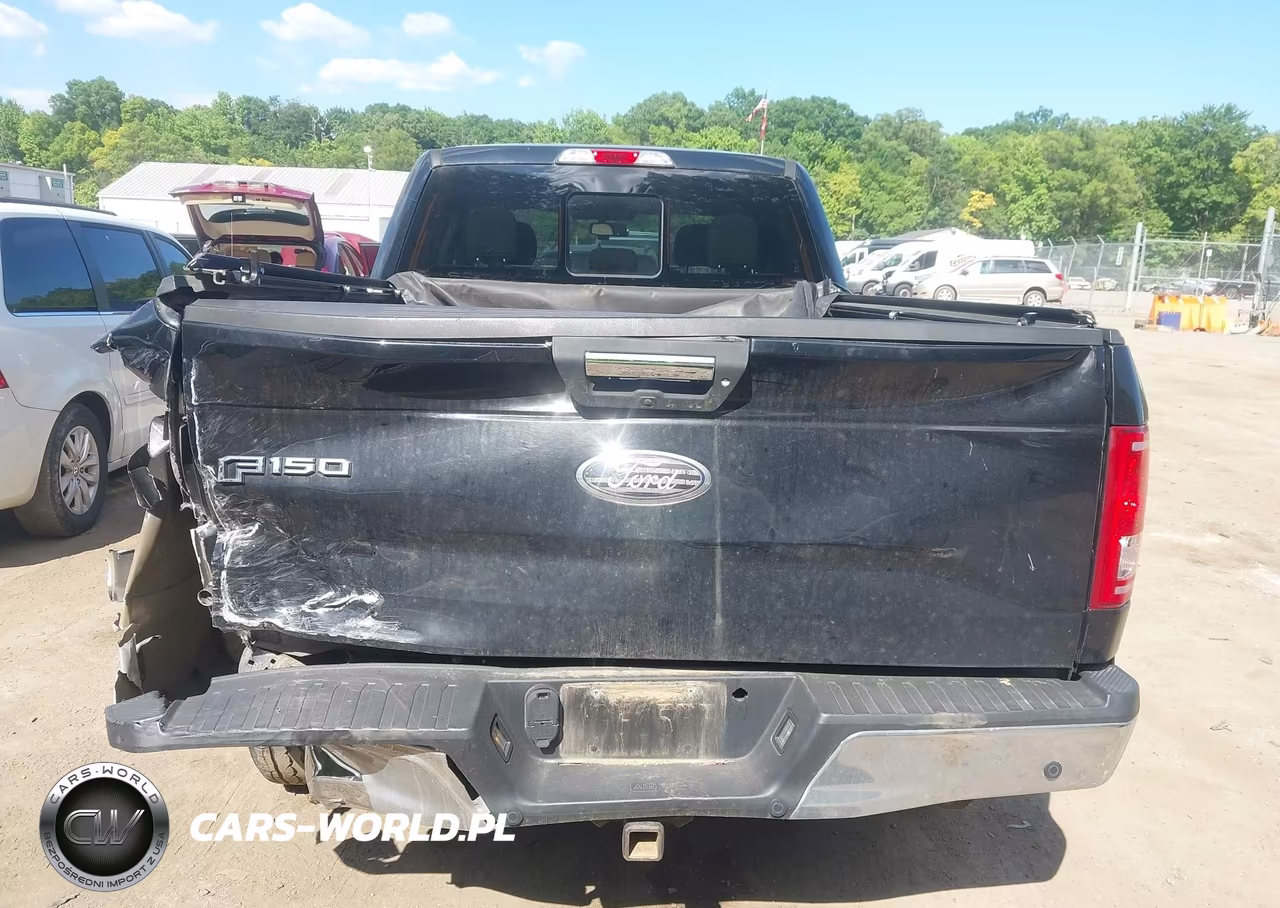 2017 Ford F-150 Xlt VIN:1FTFW1EG7HFC76222 - 16
