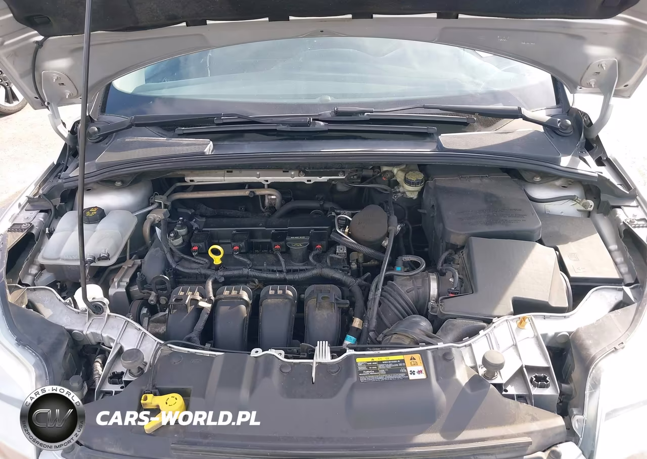 2014 Ford Focus Se VIN:1FADP3F26EL183441 - 10