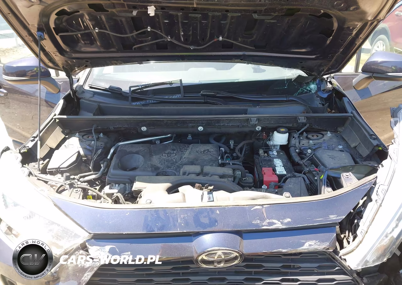 2019 Toyota Rav4 Xle VIN:2T3P1RFV3KW041952 - 10