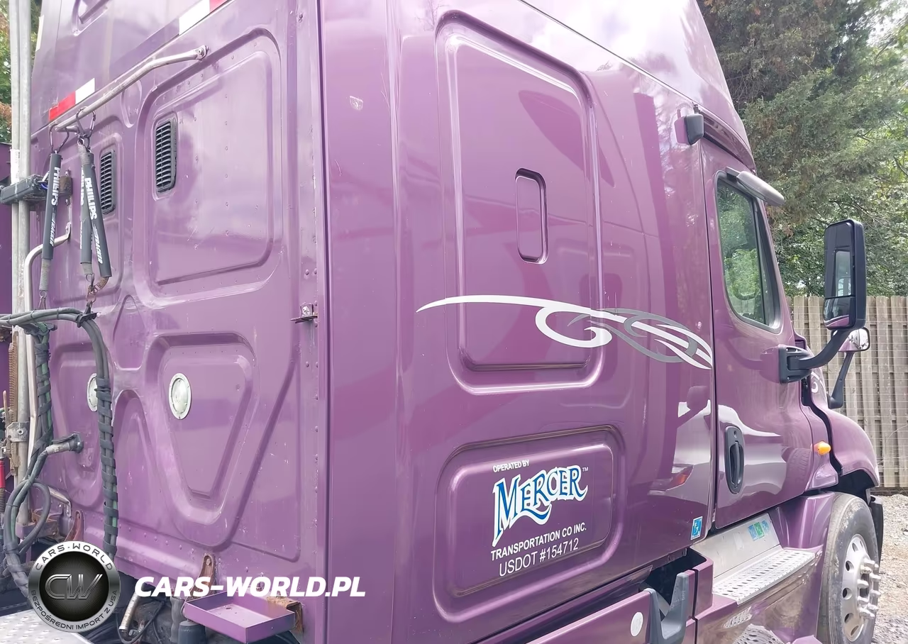 2013 Freightliner Cascadia 125 VIN:3AKJGLDRXDSBA4389 - 16
