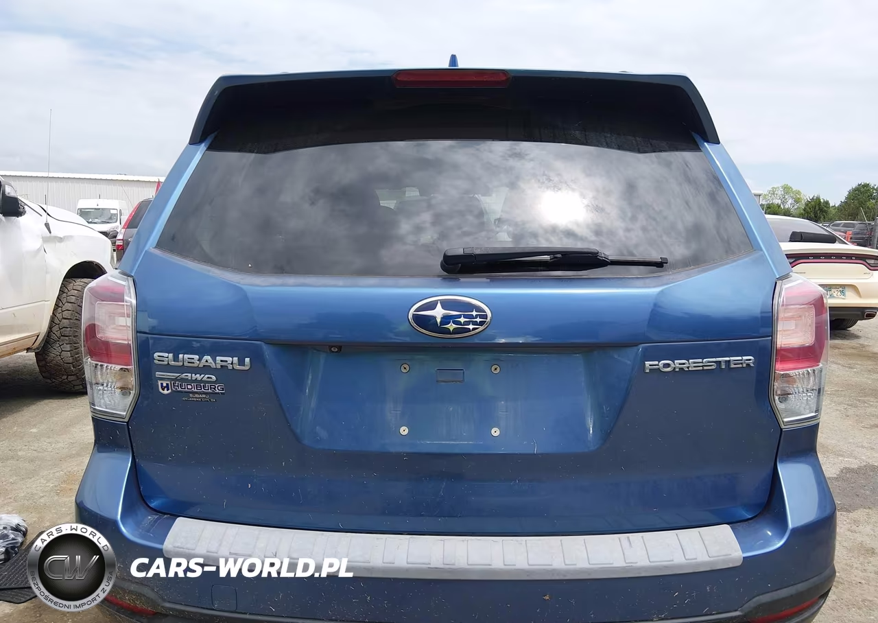 2018 Subaru Forester 2.5I Premium VIN:JF2SJAGCXJH416296 - 16
