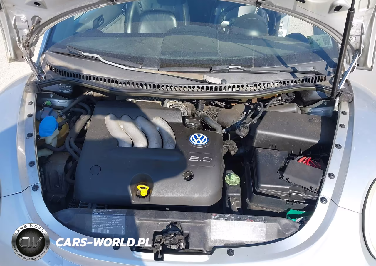 1999 Volkswagen New Beetle Gls VIN:3VWCC21CXXM474261 - 10