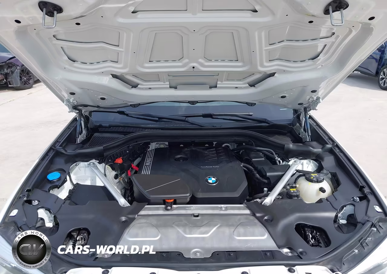 2020 BMW X3 Sdrive30I VIN:5UXTY3C05L9D67982 - 10