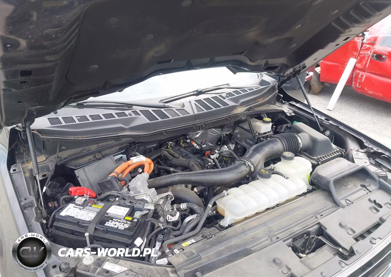 2024 Ford F-150 Xlt VIN:1FTFW3LD9RFA05958 - 10