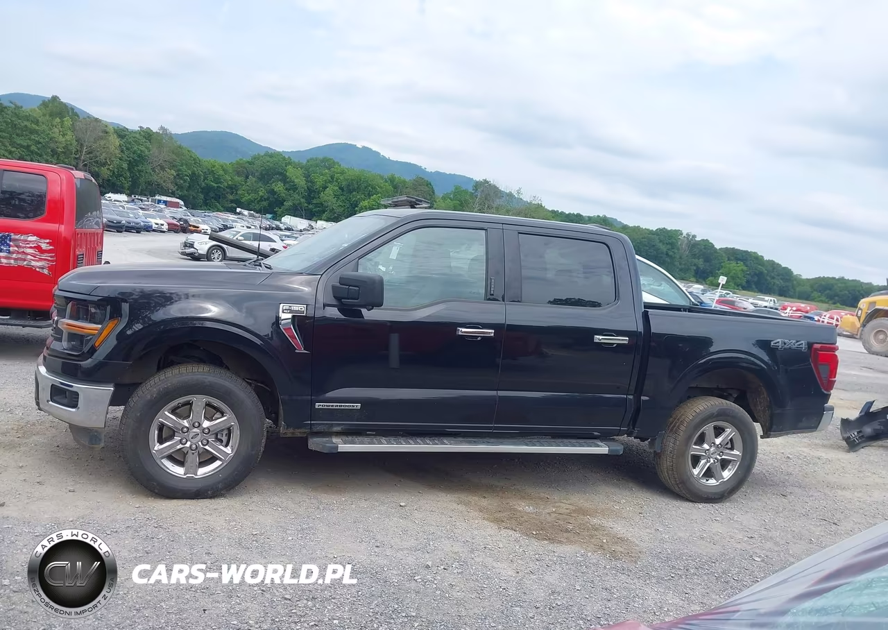 2024 Ford F-150 Xlt VIN:1FTFW3LD9RFA05958 - 14