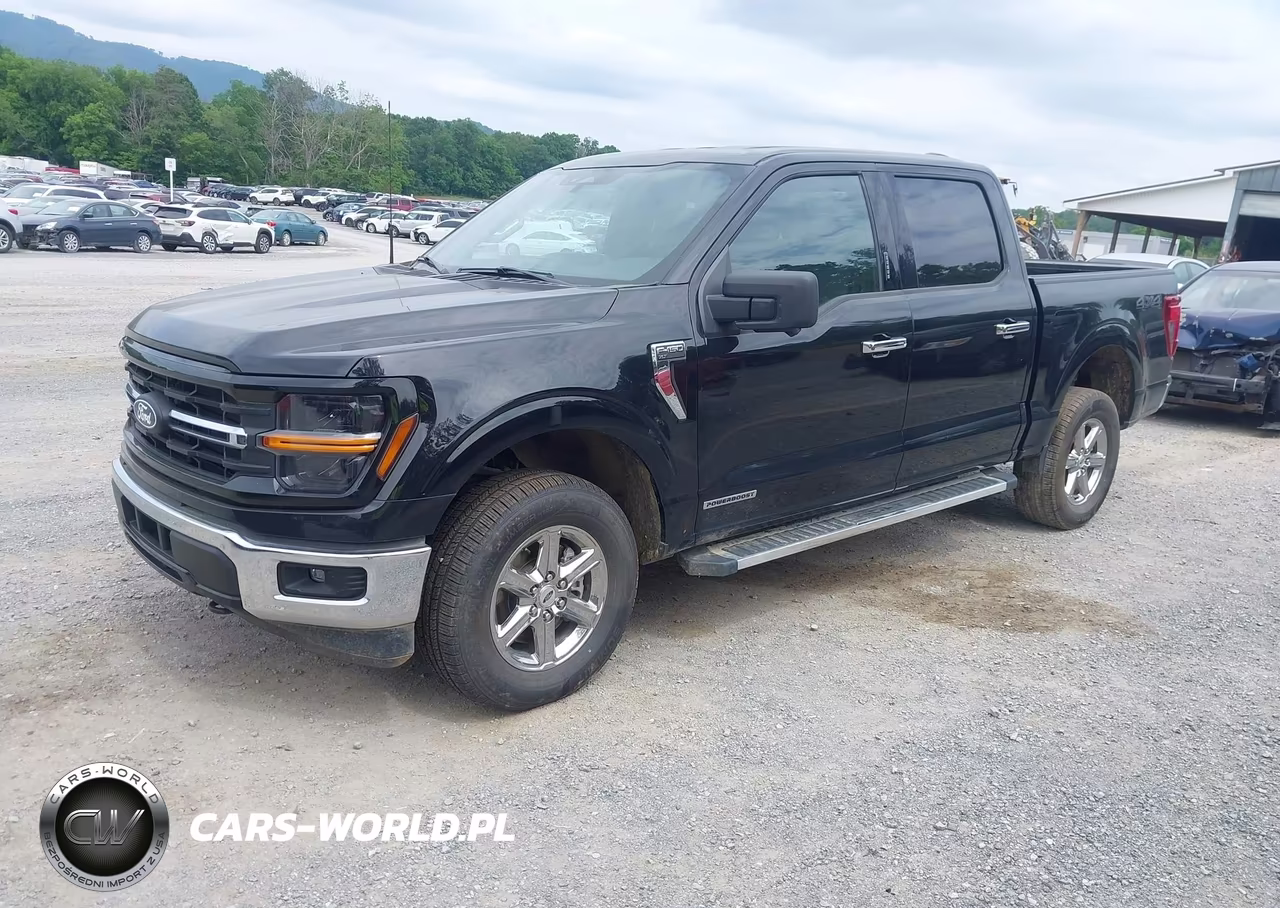 2024 Ford F-150 Xlt VIN:1FTFW3LD9RFA05958 - 2