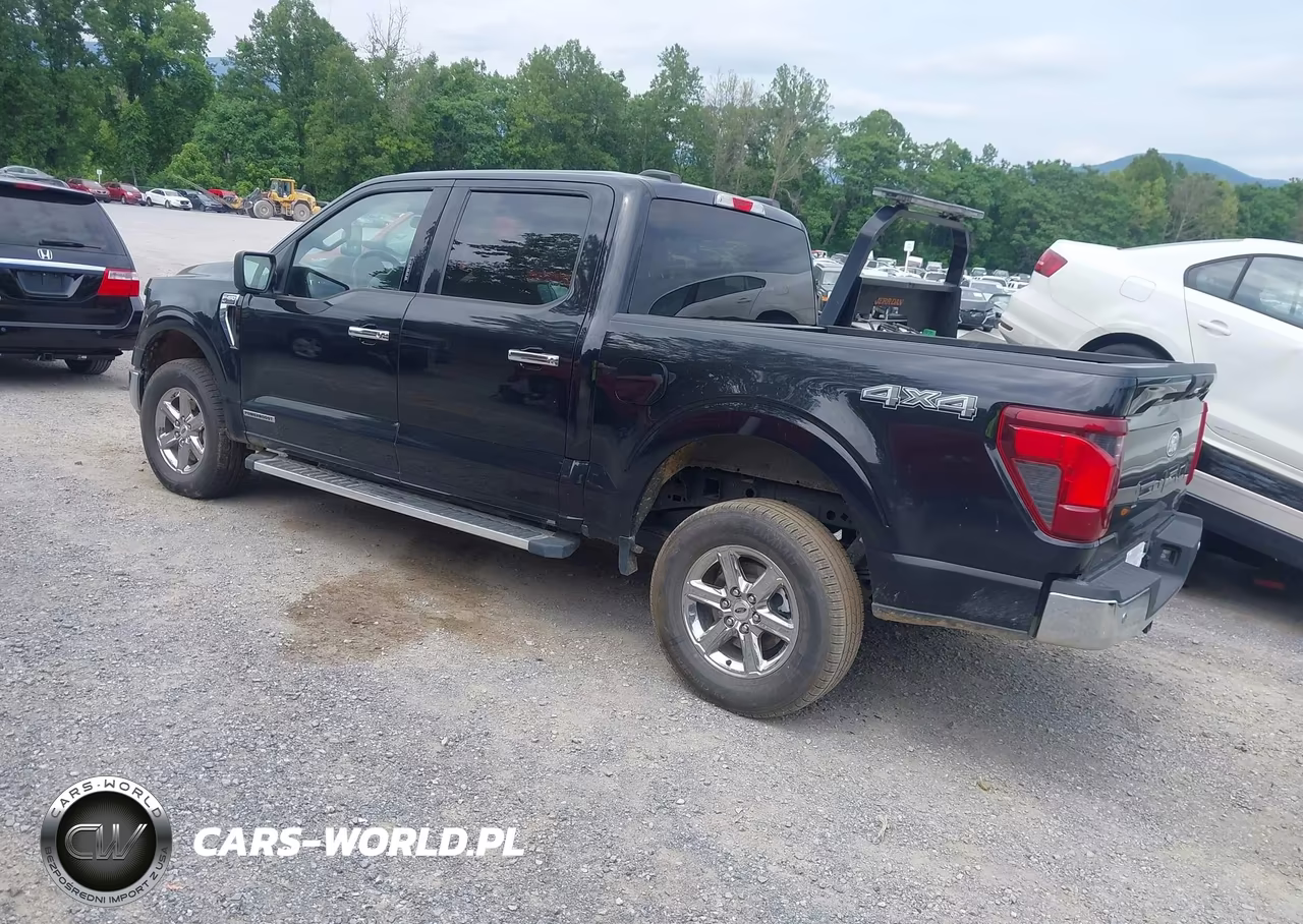 2024 Ford F-150 Xlt VIN:1FTFW3LD9RFA05958 - 3
