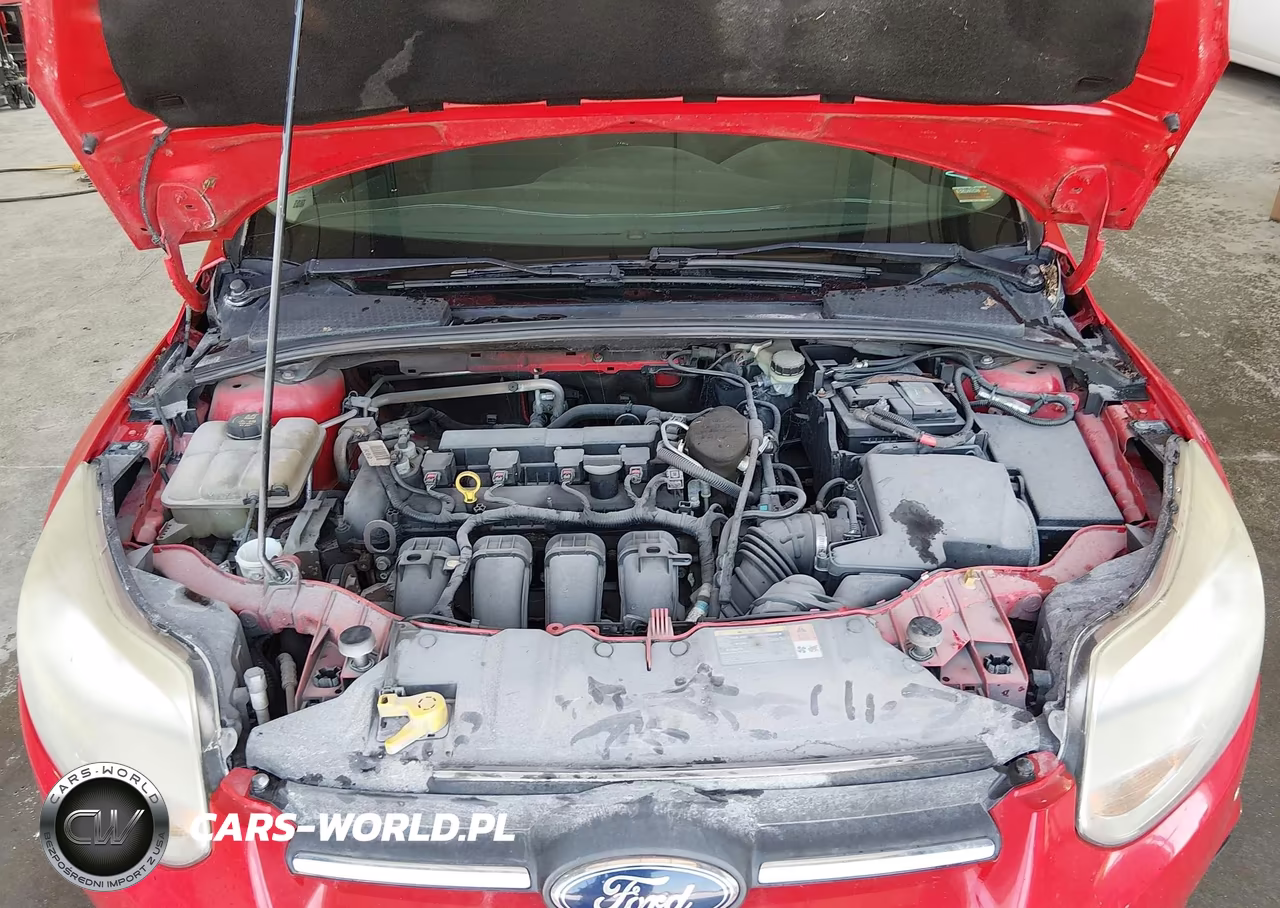 2014 Ford Focus Se VIN:1FADP3F23EL167360 - 10