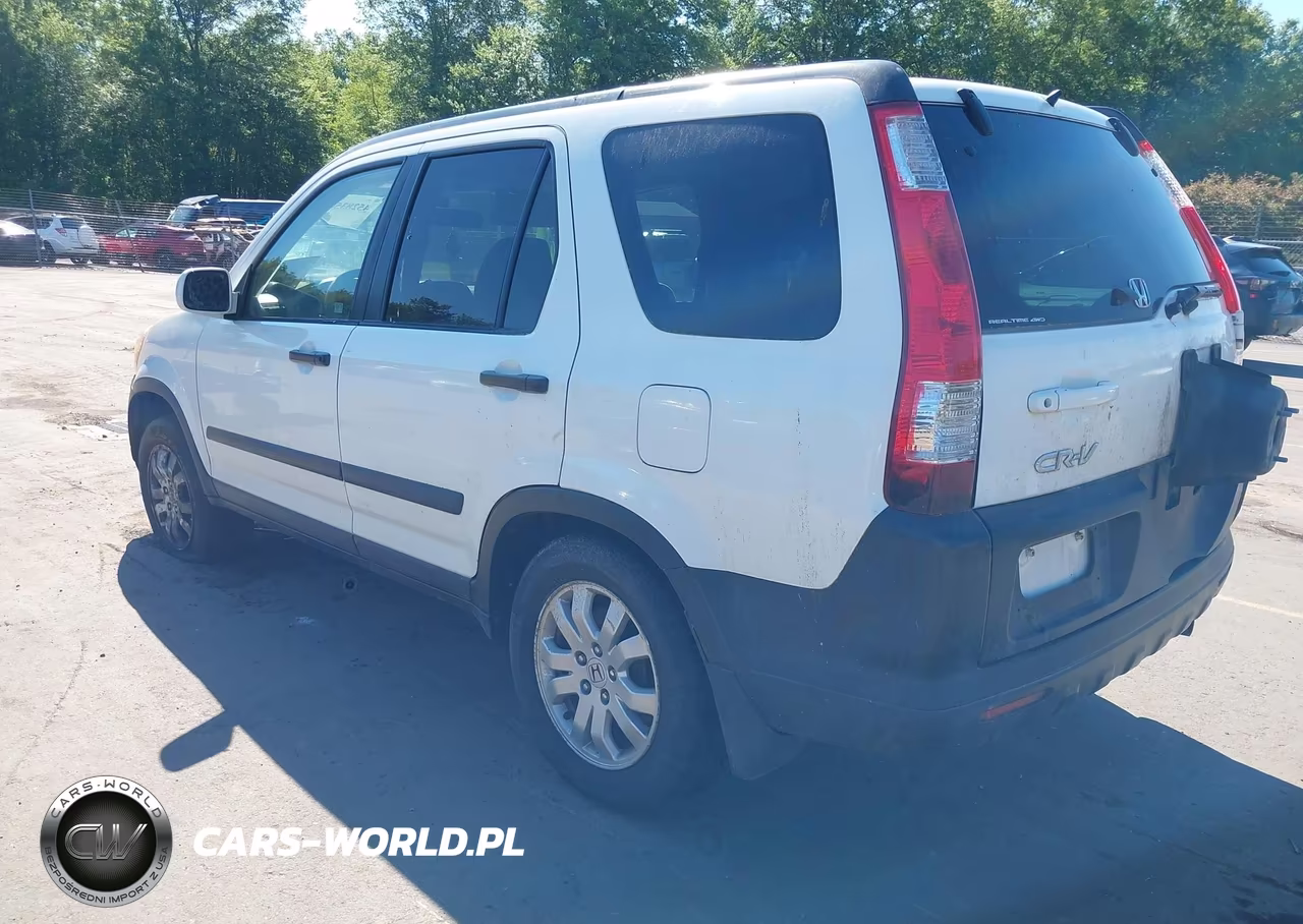 2005 Honda Cr-V Ex VIN:SHSRD78845U310295 - 3