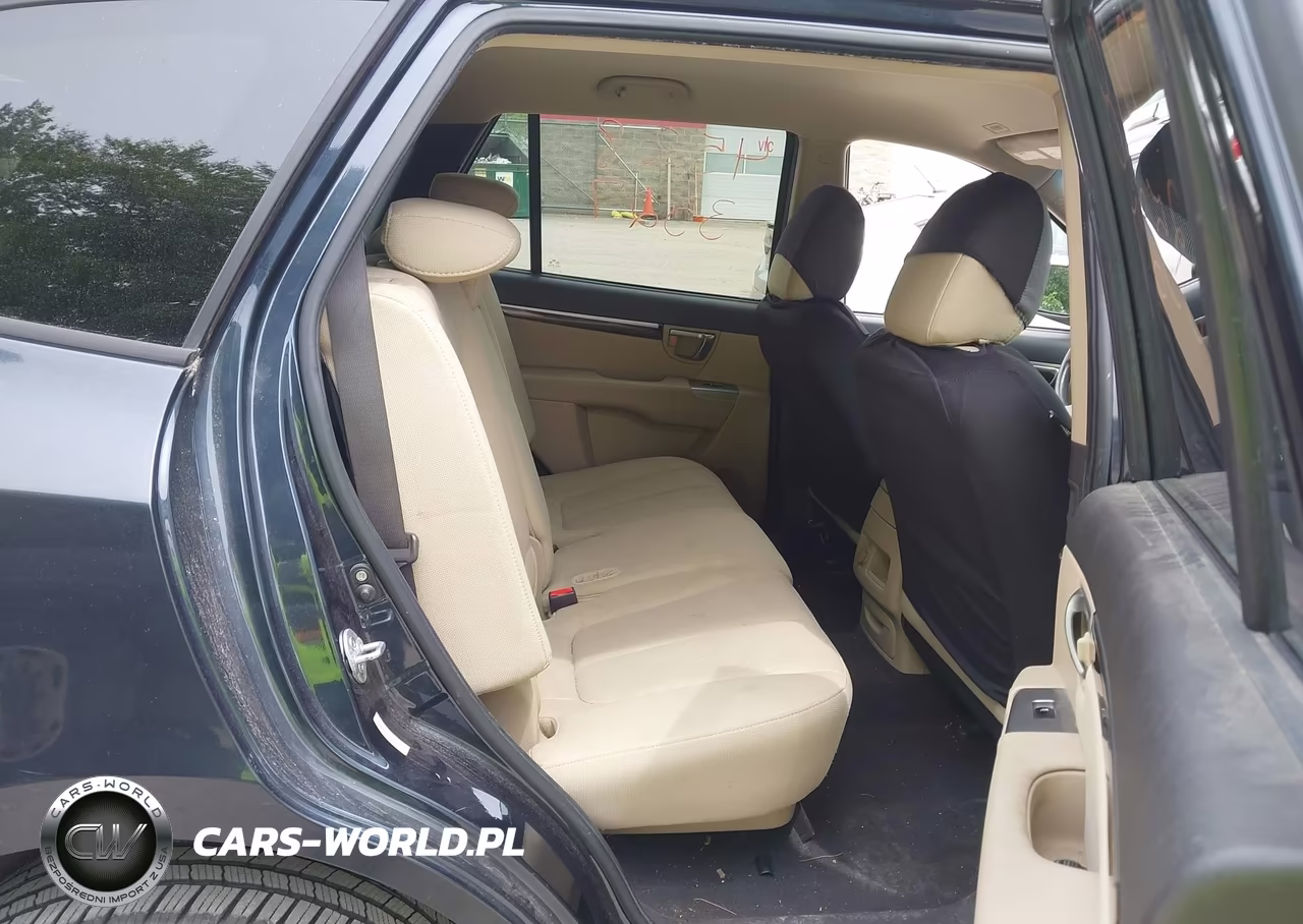 2010 Hyundai Santa Fe Gls VIN:5NMSG3AB8AH387825 - 8